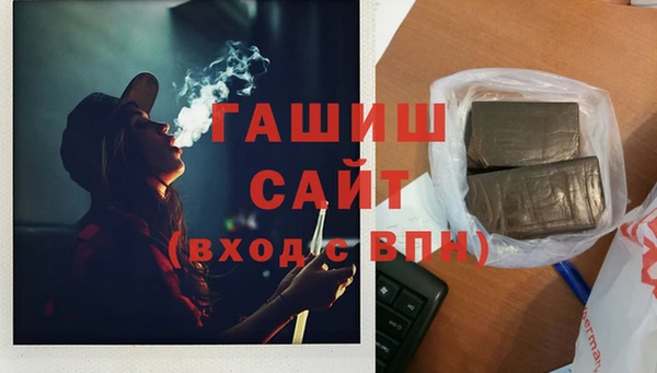 хмурый Алзамай
