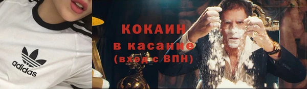 сатива Осташков