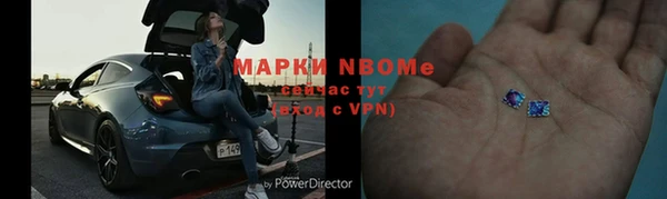 хмурый Алзамай