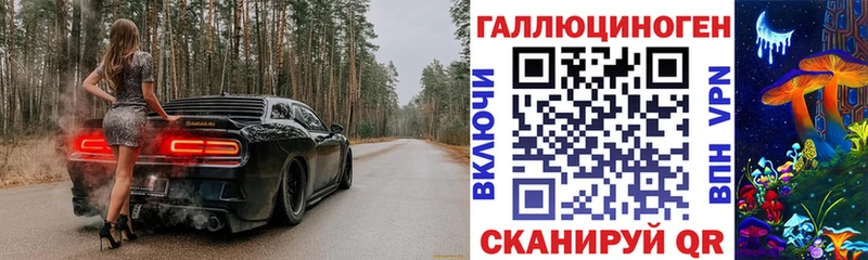 даркнет наркотические препараты мега ТОР Богородицк наркошоп Псилоцибиновые грибы Psilocybe